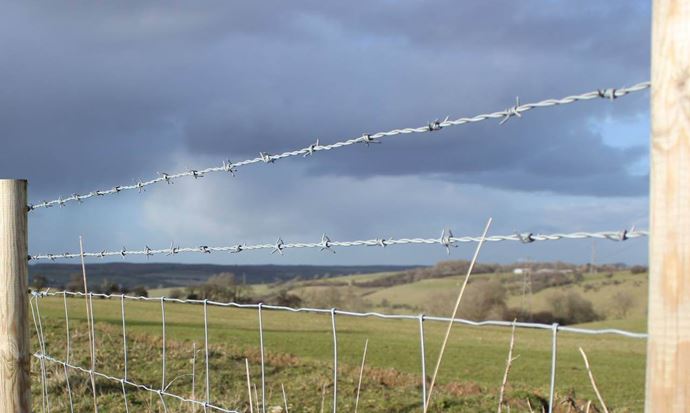 barbed wire