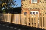 Pointed Palisade image