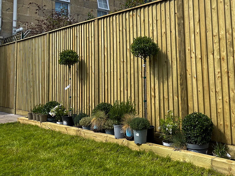 Flat Top Featherboard Fence Panels | Jacksons Fencing