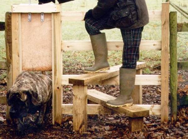 Stile Set complete with Dog Gate Jacksons Fencing