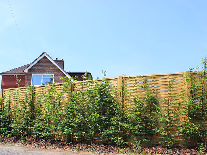 Woven Fence Panels | Jacksons Fencing