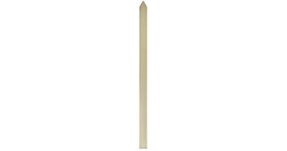 Pointed Pale