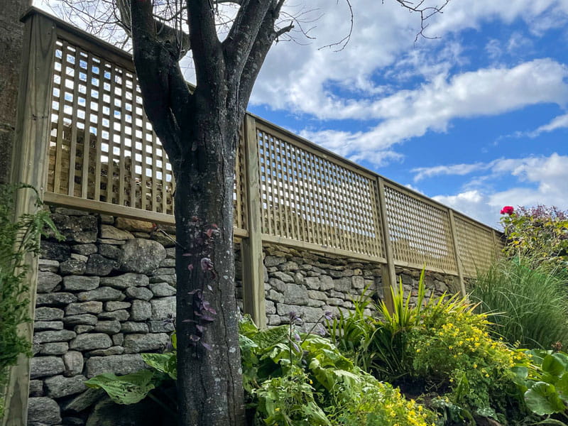 Lattice Trellis Panels | Jacksons Fencing