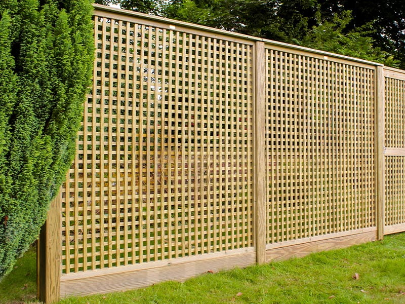 Lattice Trellis Panels | Jacksons Fencing