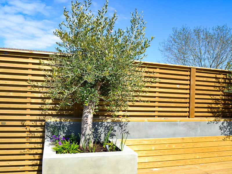 treated timber modern fencing