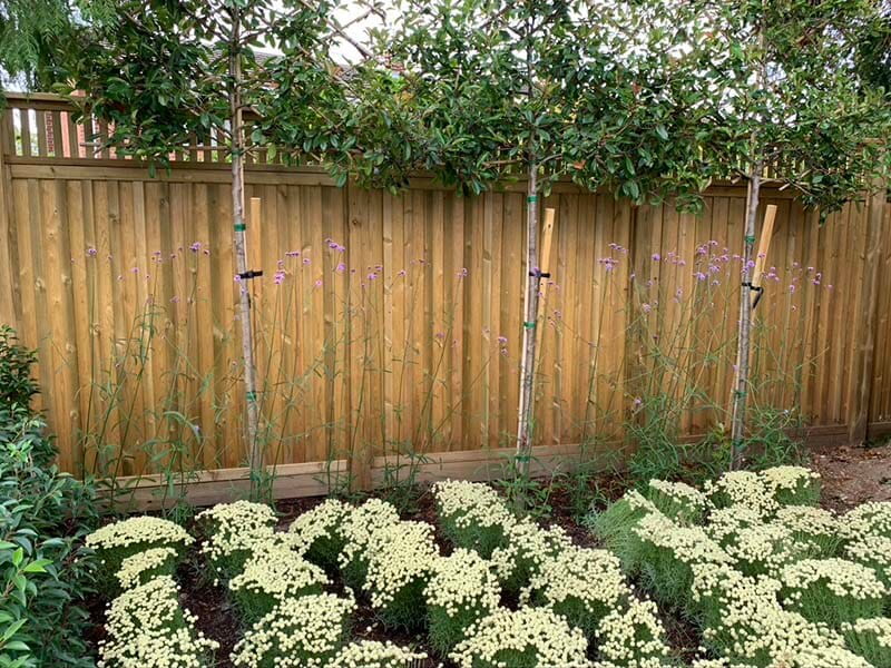 Easy garden design ideas | The Edit | Jacksons Fencing