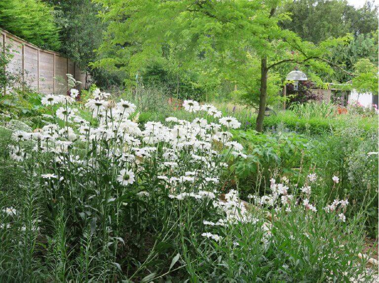 wildlife haven garden
