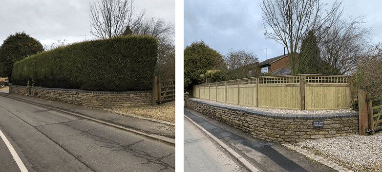 Hedge replaced with fence panels and trellis