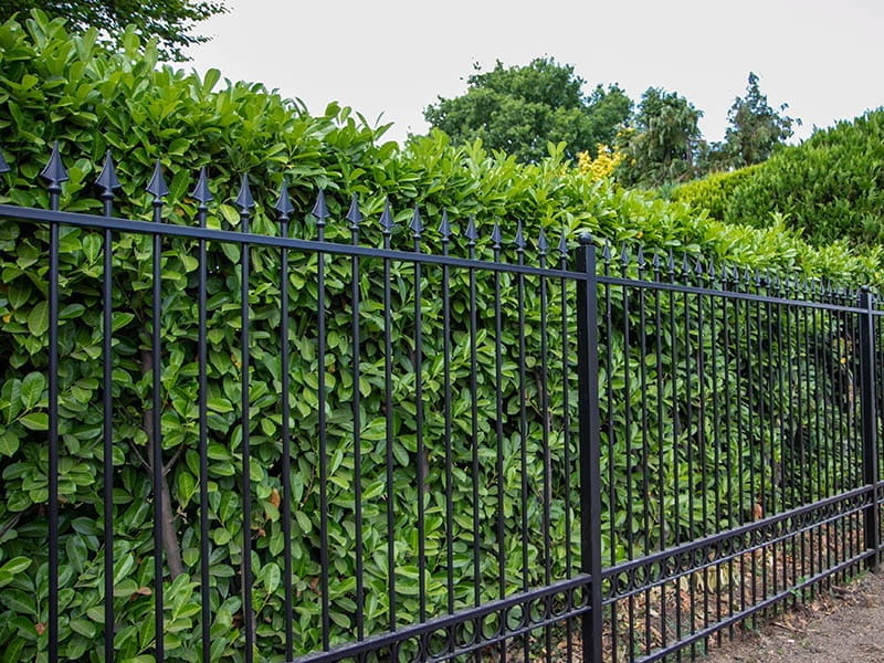 Ornamental Metal Garden Security Railings