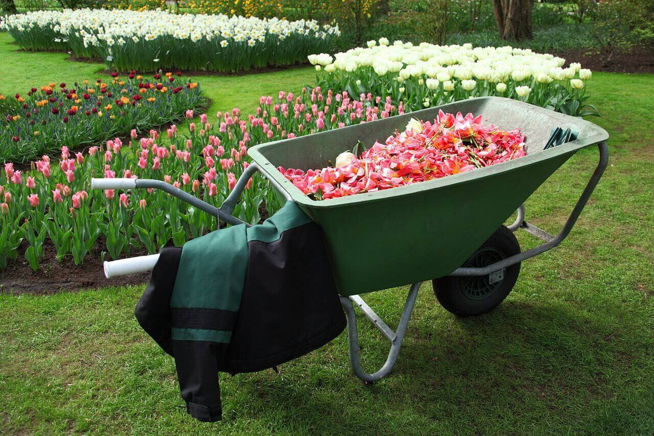 Spring Wheelbarrow