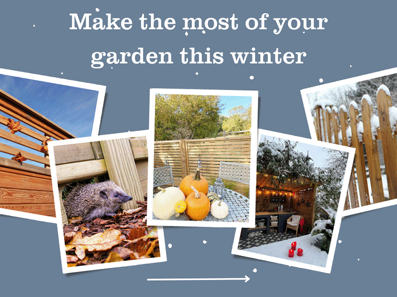 make the most of your garden this winter