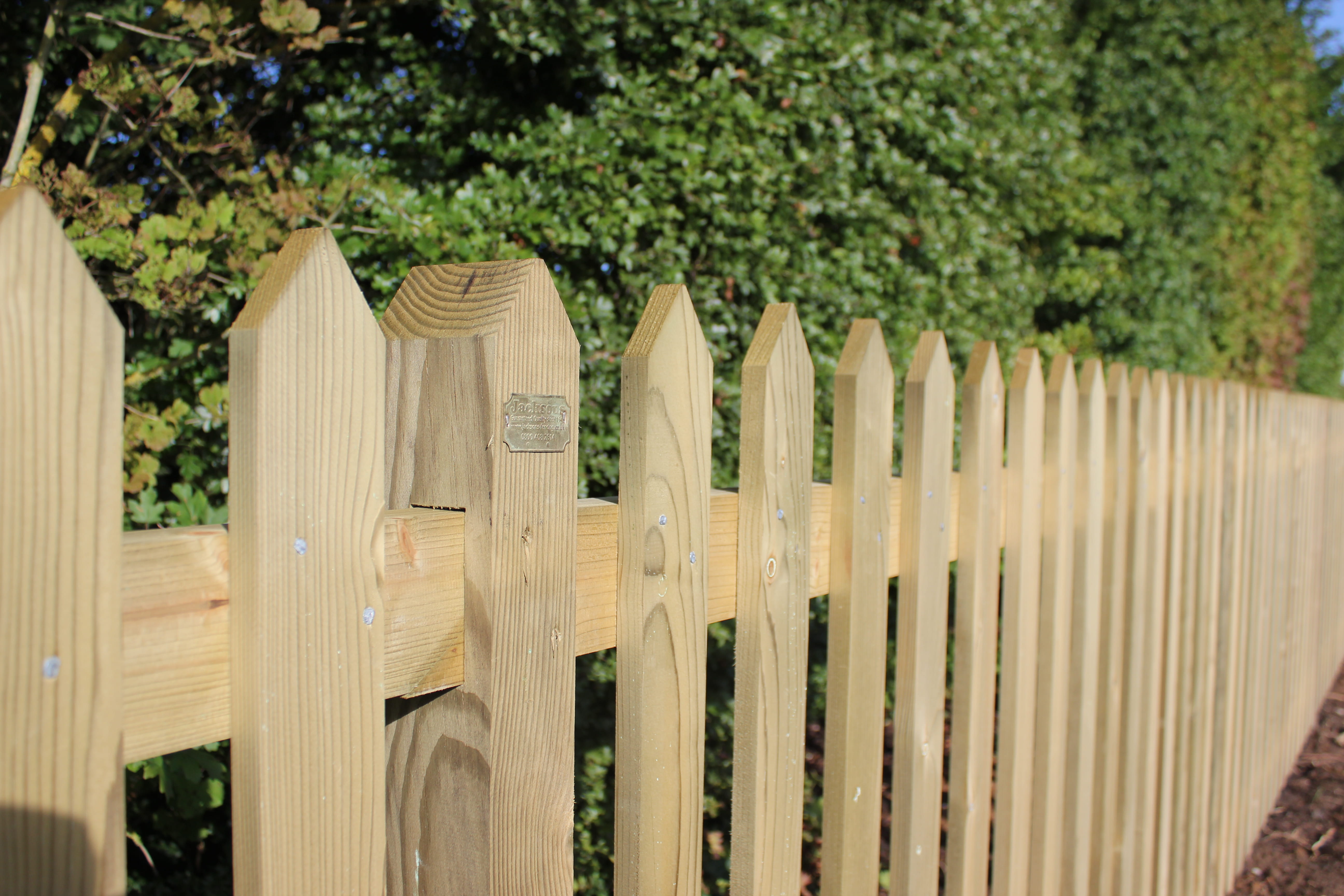 Picket Fencing | Jacksons Fencing