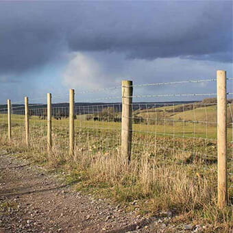 Wire Netting | Wire Netting Fencing | Jacksons Fencing